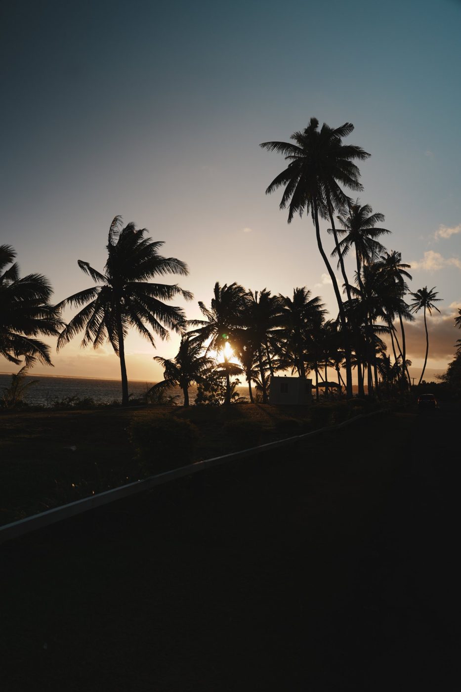 Coconut palms silhouetted against a golden sunset over the sea in Fiji